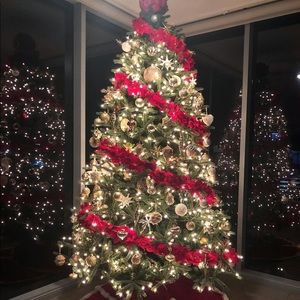 Meet your Posher, Ailyn